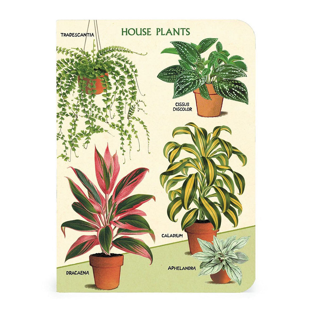 2x 3pc Cavallini Mini Notebook Set Writing Stationery - House Plants
