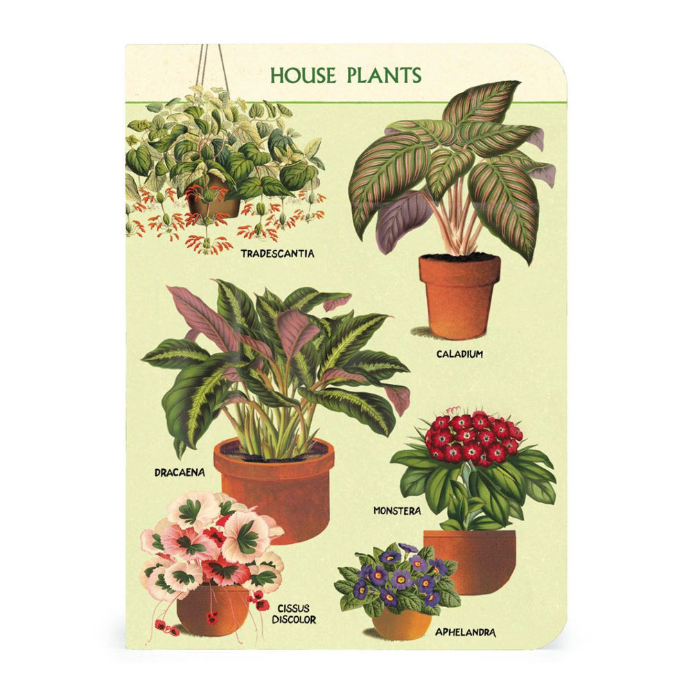 2x 3pc Cavallini Mini Notebook Set Writing Stationery - House Plants