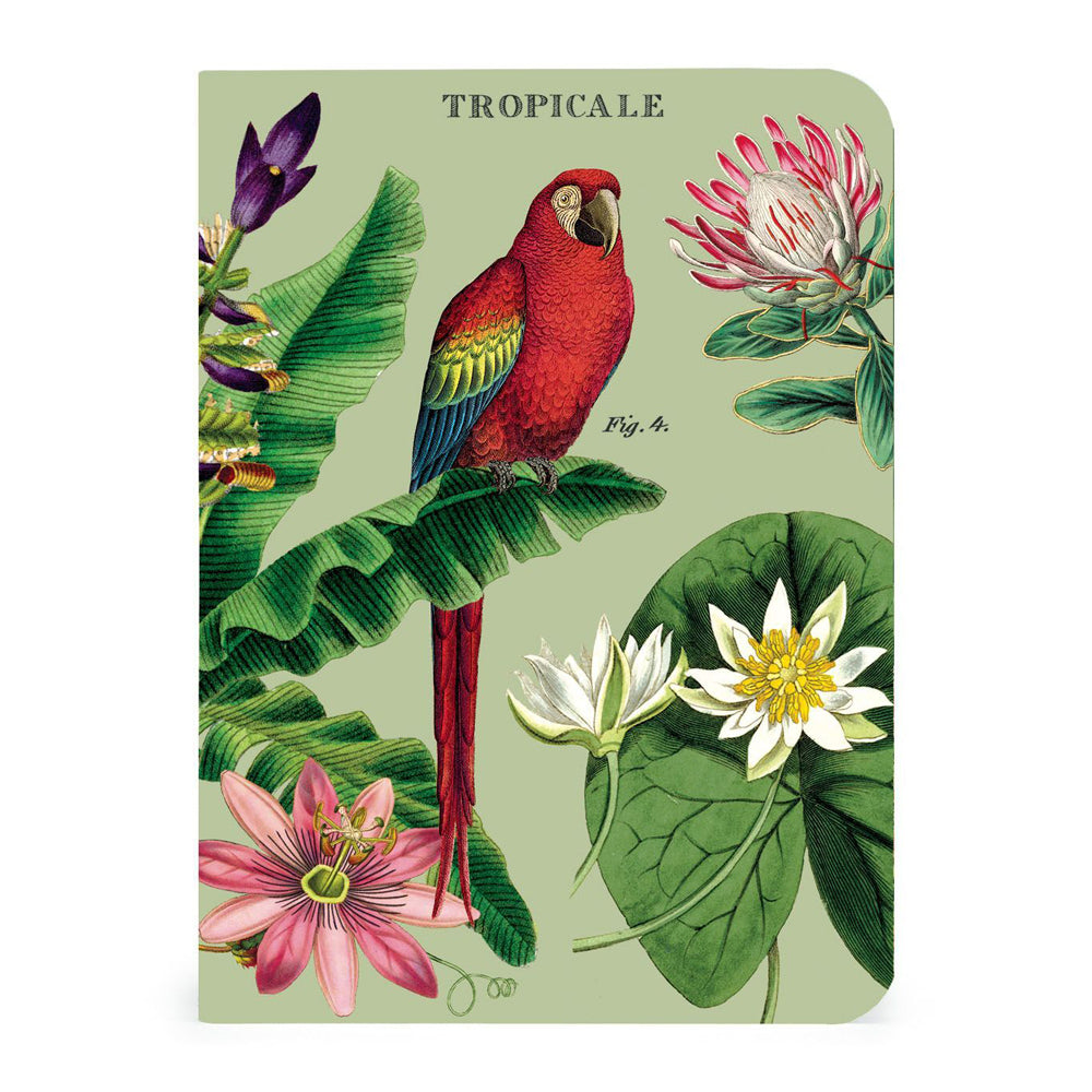 2x 3pc Cavallini Mini Notebook Set Writing Stationery - Tropicale