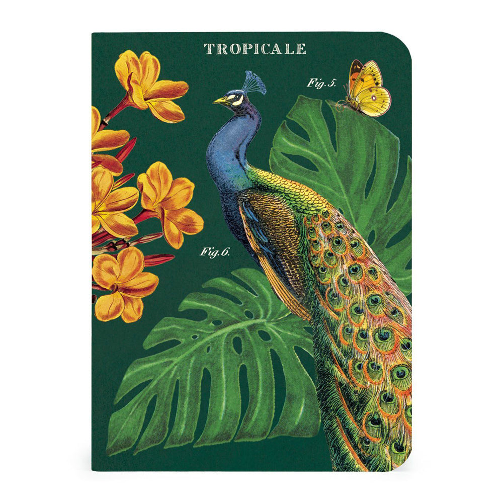 2x 3pc Cavallini Mini Notebook Set Writing Stationery - Tropicale