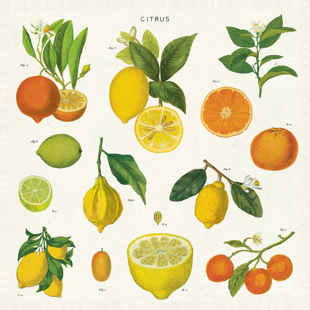 4pc Cavallini Cotton Table Cloth Napkins Set 48cm - Citrus