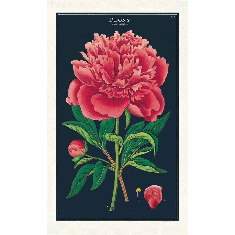 Cavallini Cotton Kitchen Tea Towel 48x80cm - Botanica Peony