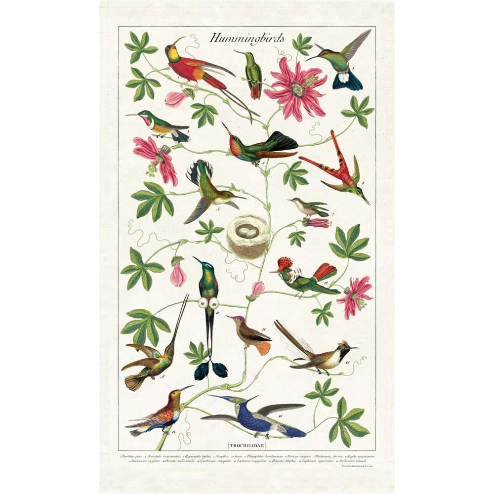Cavallini Cotton Kitchen Tea Towel 48x80cm - Hummingbirds