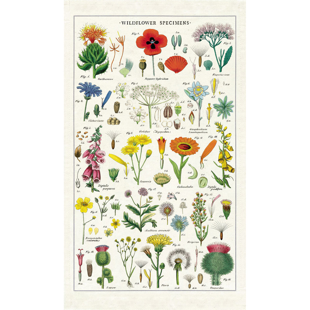 Cavallini Cotton Kitchen Tea Towel 48x80cm - Wildflower