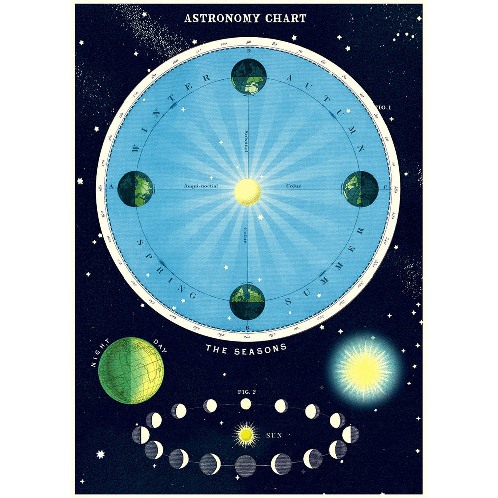 3PK Cavallini Paper Poster Prints/Gift Wrap 50x70cm - Astronomy Chart