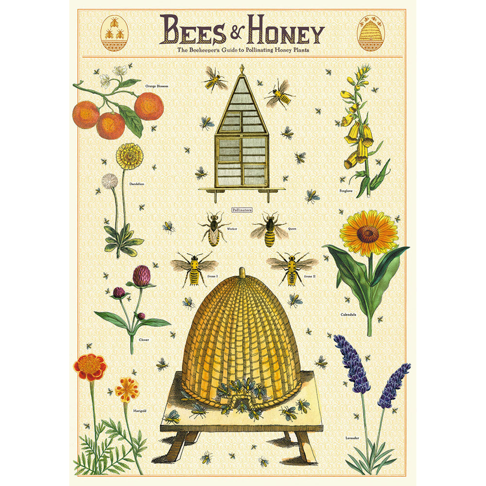 3PK Cavallini Paper Poster Prints/Gift Wrap 50x70cm - Bees & Honey