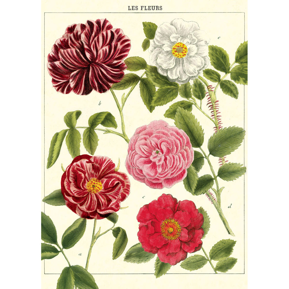 6PK Cavallini Paper Poster Prints/Gift Wrap 50x70cm - Les Fleurs