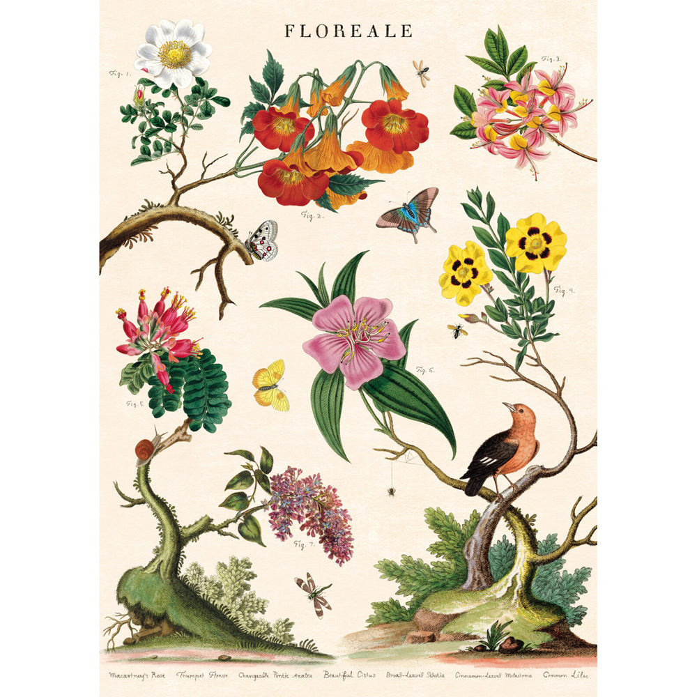 3PK Cavallini Paper Poster Prints/Gift Wrap 50x70cm - Floreale