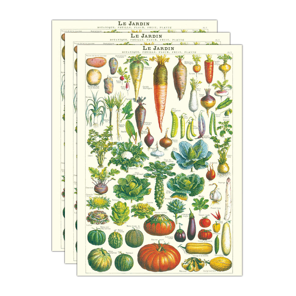3PK Cavallini Paper Poster Prints/Gift Wrap 50x70cm - Le Jardin
