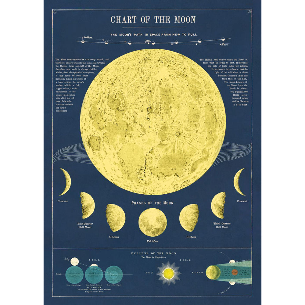 6PK Cavallini Paper Poster Prints/Gift Wrap 50x70cm - Moon Chart