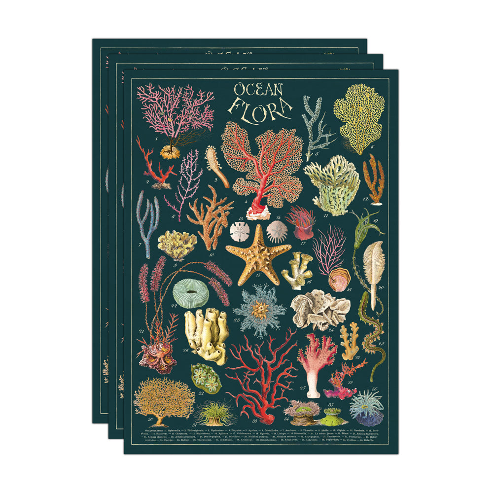 3PK Cavallini Paper Poster Prints/Gift Wrap 50x70cm - Ocean Flora
