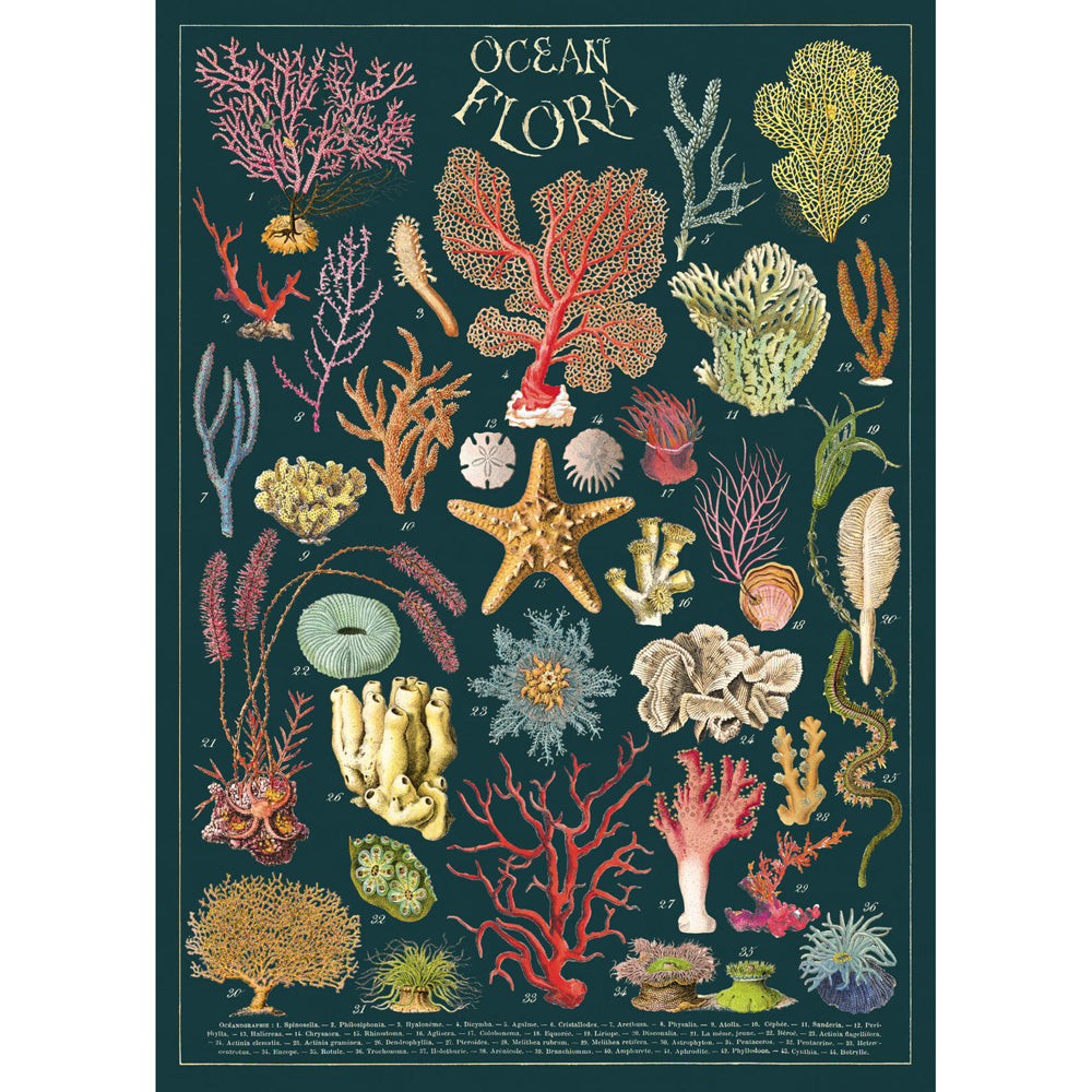 3PK Cavallini Paper Poster Prints/Gift Wrap 50x70cm - Ocean Flora