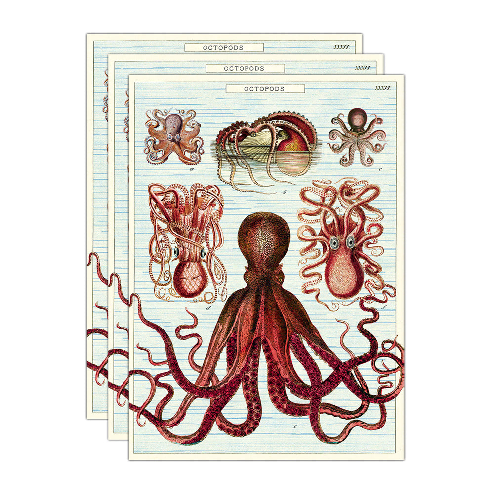 3PK Cavallini Paper Poster Prints/Gift Wrap 50x70cm - Octopods