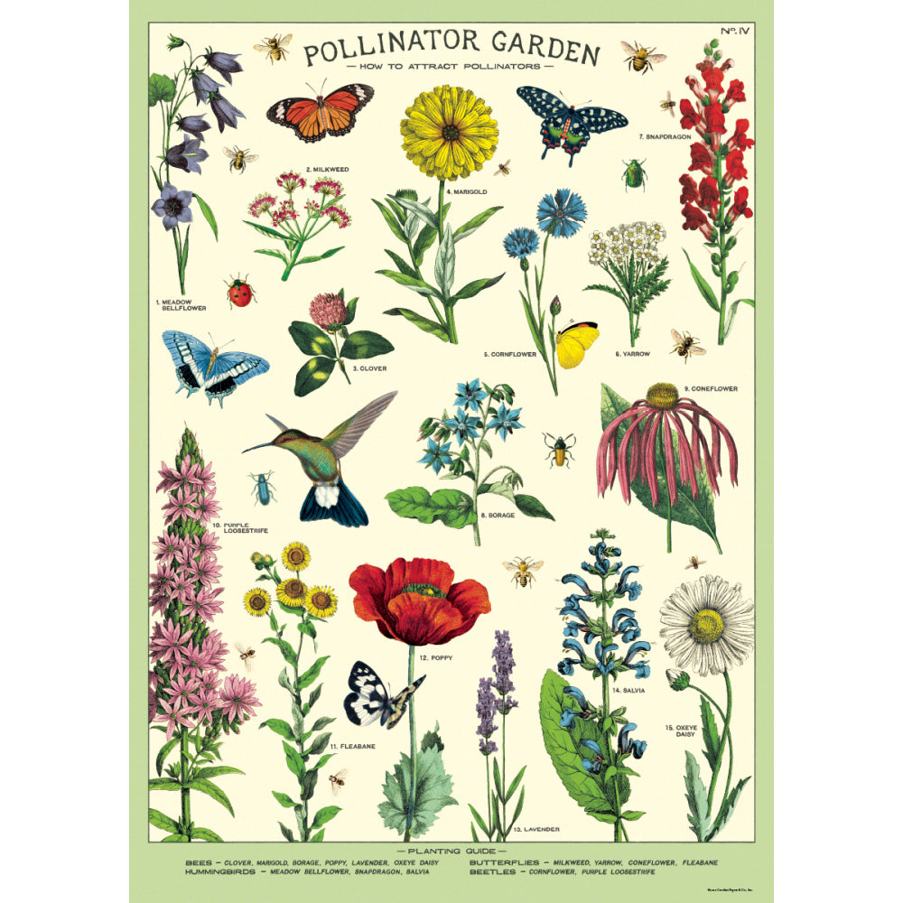 3PK Cavallini Paper Poster Prints/Gift Wrap 50x70cm - Pollinator Garden