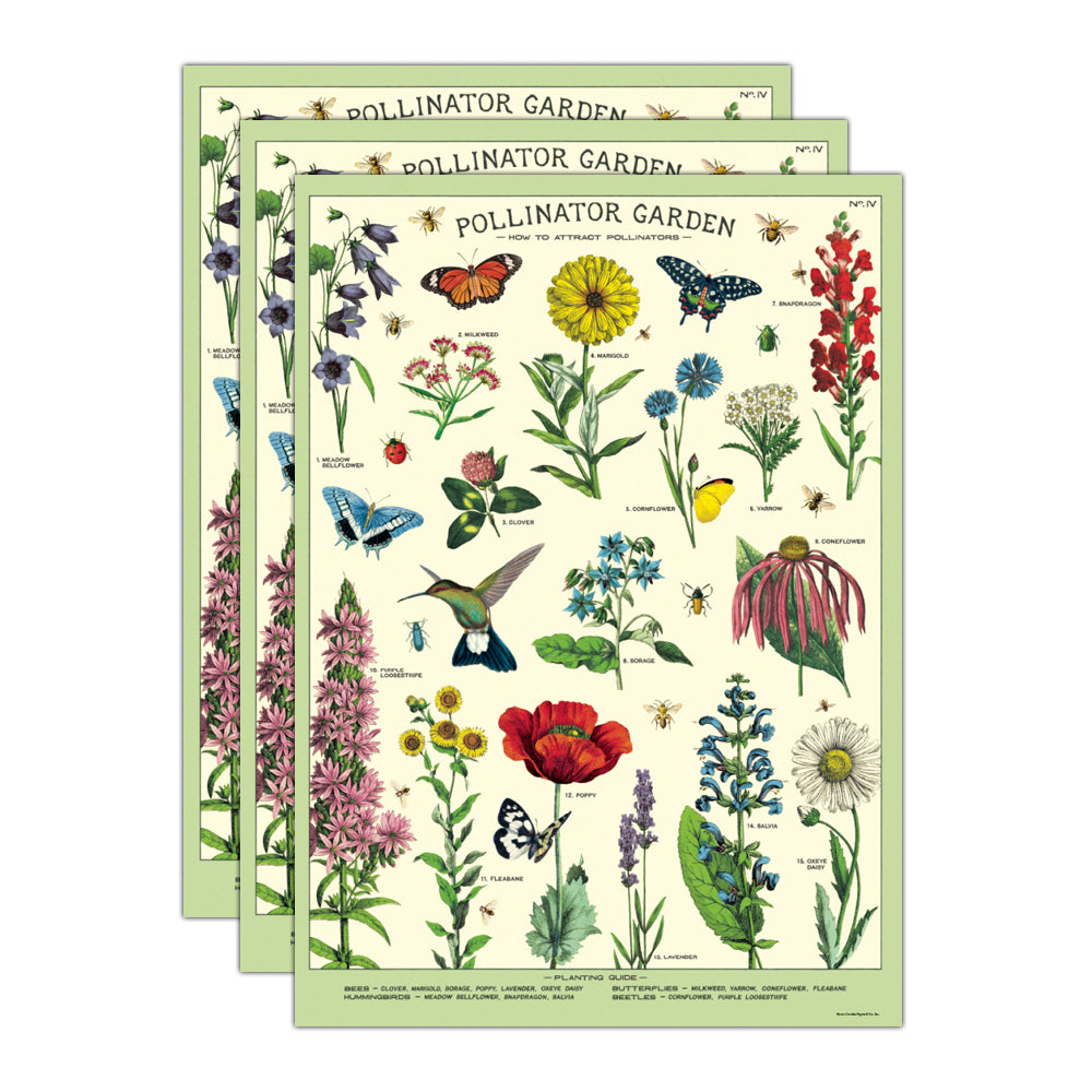 3PK Cavallini Paper Poster Prints/Gift Wrap 50x70cm - Pollinator Garden