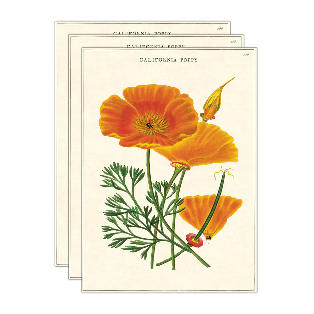 3PK Cavallini Paper Poster Prints/Gift Wrap 50x70cm - Poppy