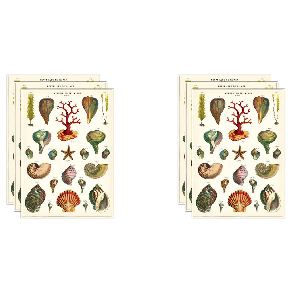 6PK Cavallini Paper Poster Prints/Gift Wrap 50x70cm - Shells De La Mer