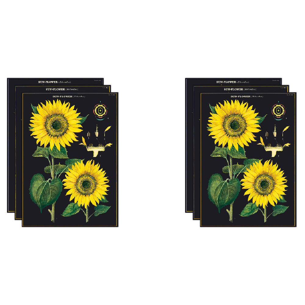 6PK Cavallini Paper Poster Prints/Gift Wrap 50x70cm - Sunflower