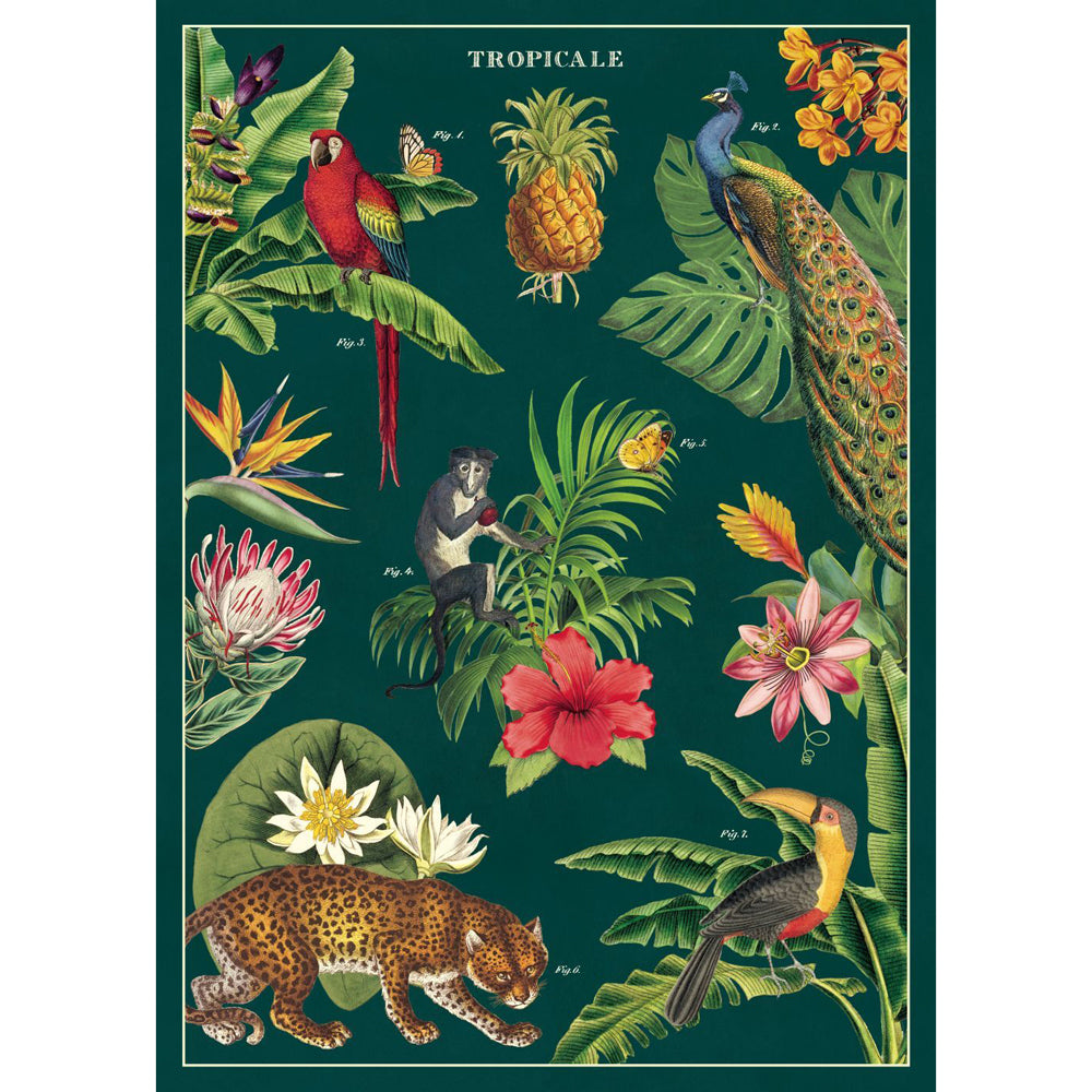 6PK Cavallini Paper Poster Prints/Gift Wrap 50x70cm - Tropicale