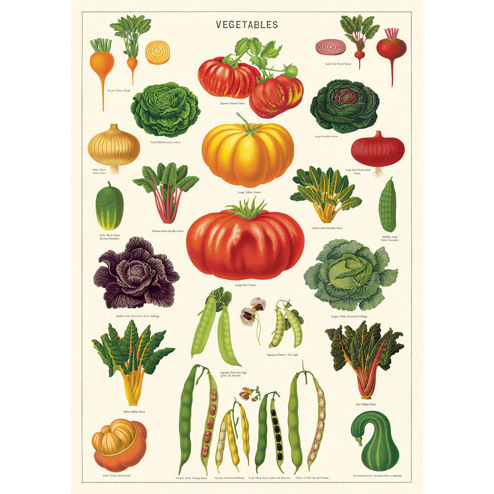 3PK Cavallini Paper Poster Prints/Gift Wrap 50x70cm - Vegetable Garden