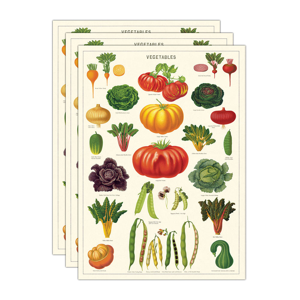 3PK Cavallini Paper Poster Prints/Gift Wrap 50x70cm - Vegetable Garden