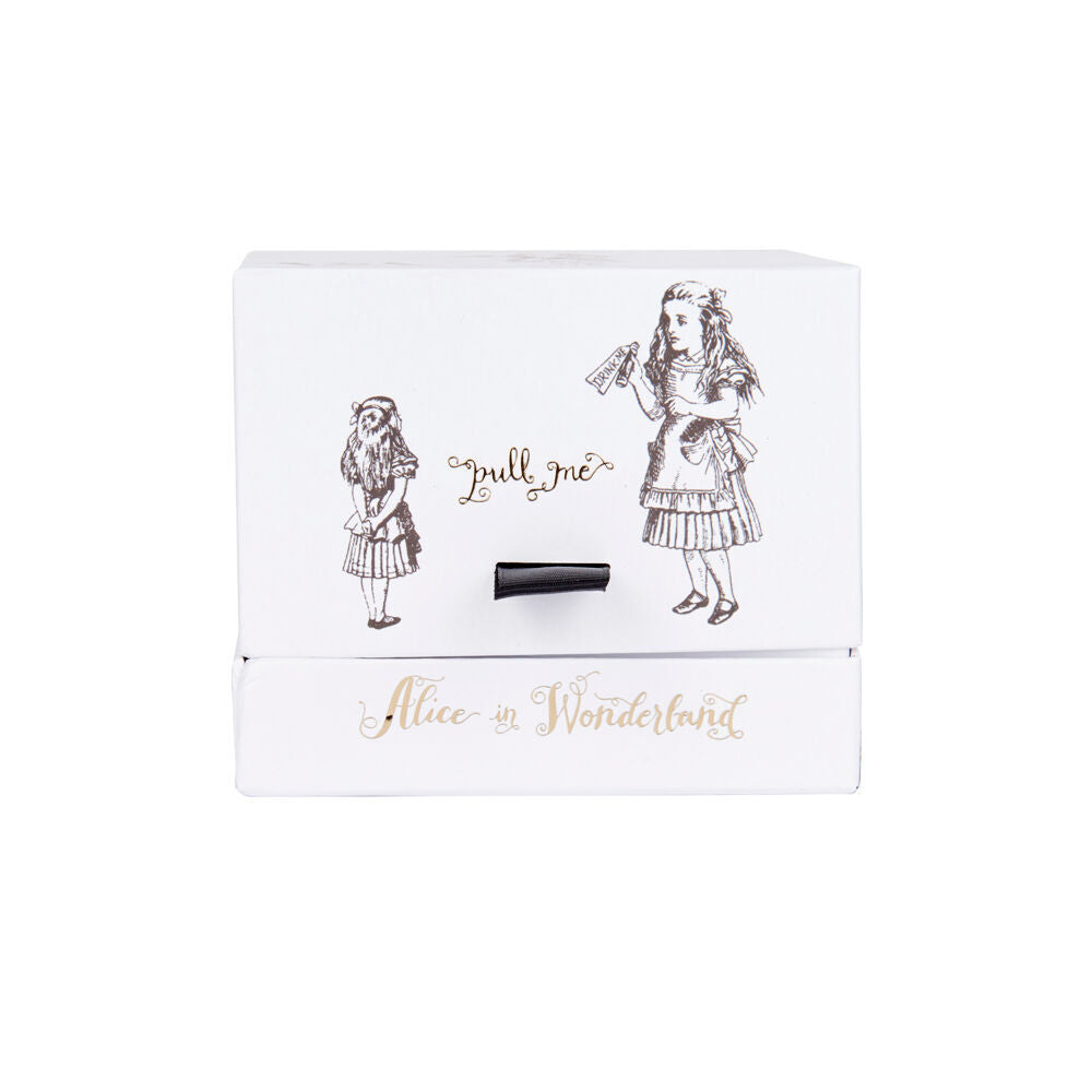 2PK Mikasa x V & A Alice In Wonderland Coffee Drinking Mug Alice 350mL