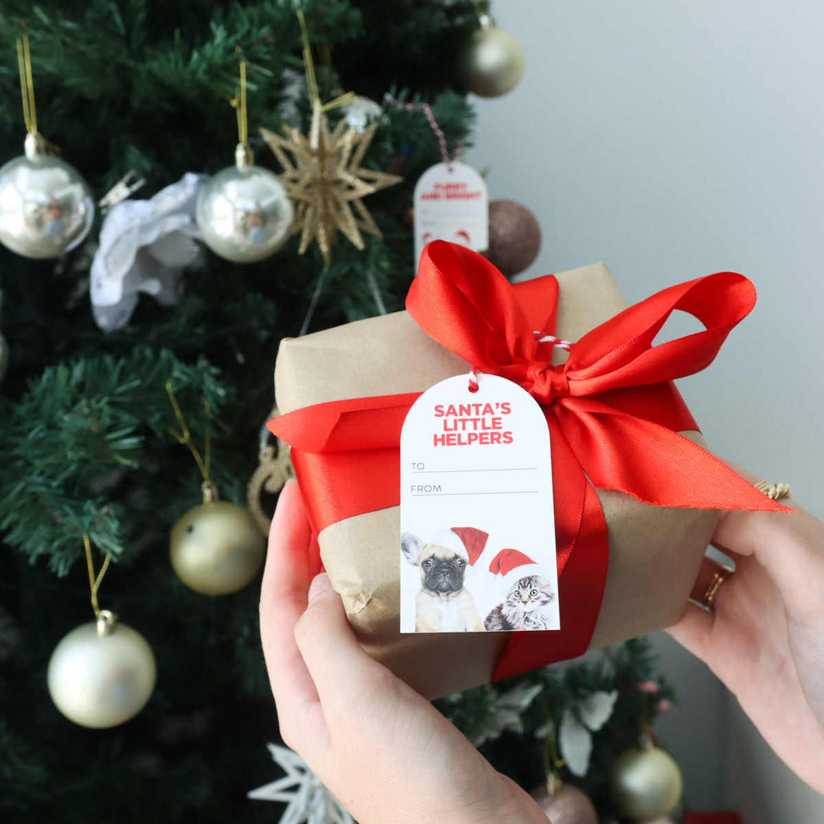 6x 6pc Splosh Christmas Helpers Gift Tags Set 300gsm Card 11.5cm - White/Red
