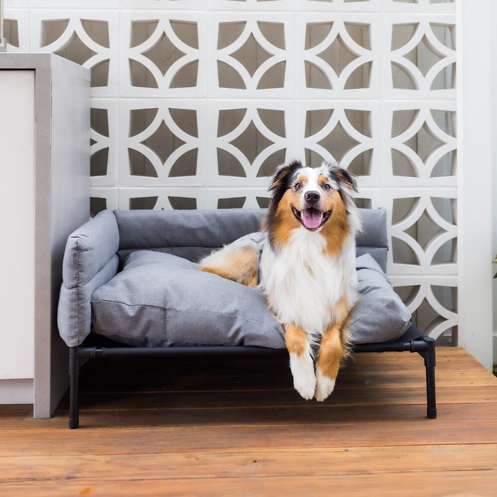 2x Paws And Claws Elevated Sofa Pet Dog Bed 93.5x63x48cm Linen Grey Large