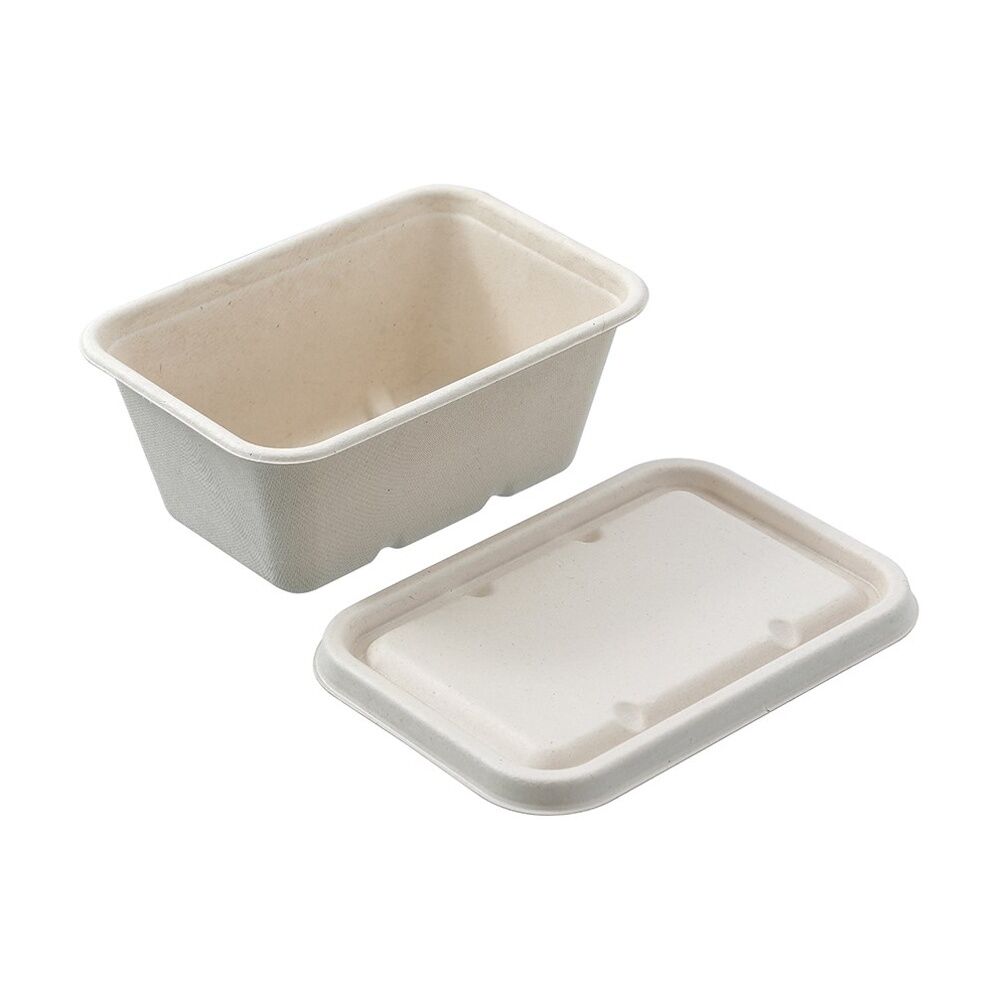 12x Lemon And Lime Eco Sugarcane Food Container Set 1L Capacity Assorted