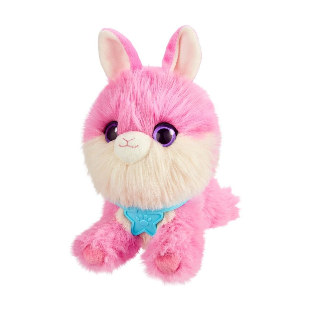 Scruffaluvs S3 Pet Rainbow Pets Soft Toy Plush