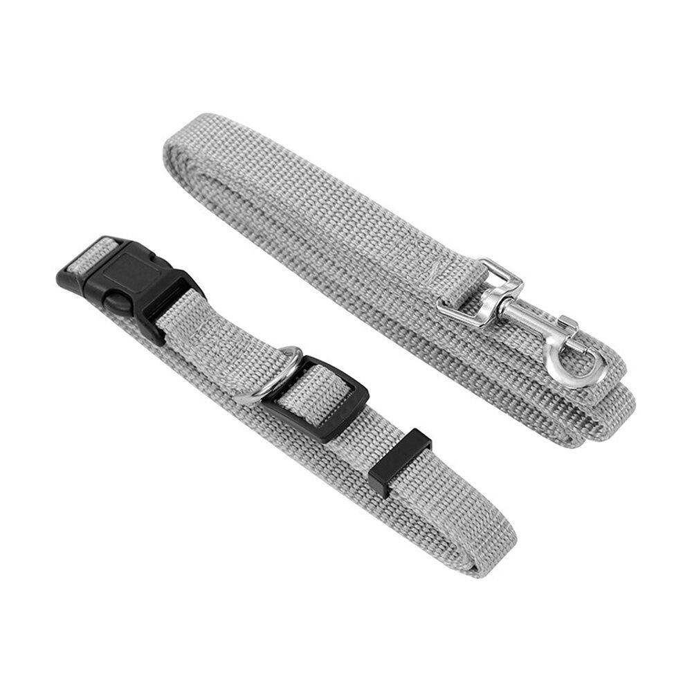 6x Paws And Claws Essentials Dog Collar & Lead Set Medium 30-50cm 120x1.5cm Asstd