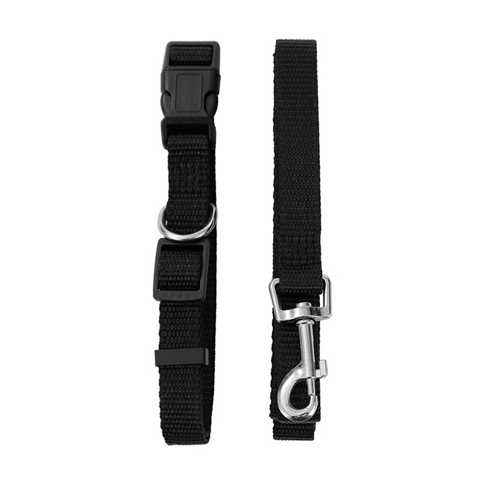 6x Paws And Claws Essentials Dog Collar & Lead Set Medium 30-50cm 120x1.5cm Asstd
