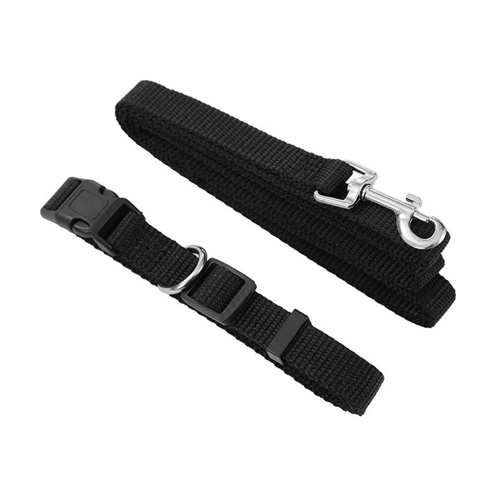 6x Paws And Claws Essentials Dog Collar & Lead Set Medium 30-50cm 120x1.5cm Asstd