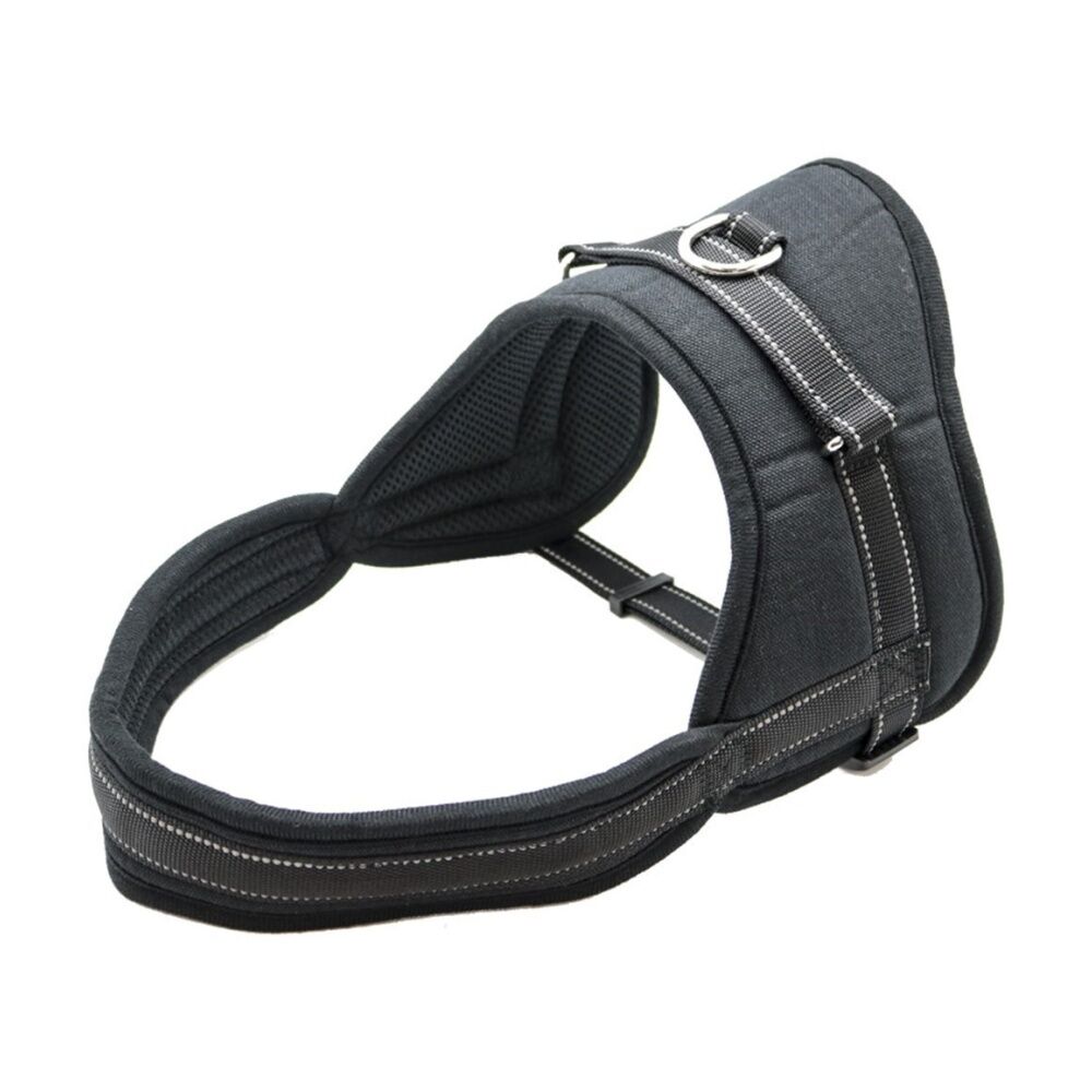 3x Paws And Claws Strong Pet Harness Small Soft Padding Secure Lock 60-70cm