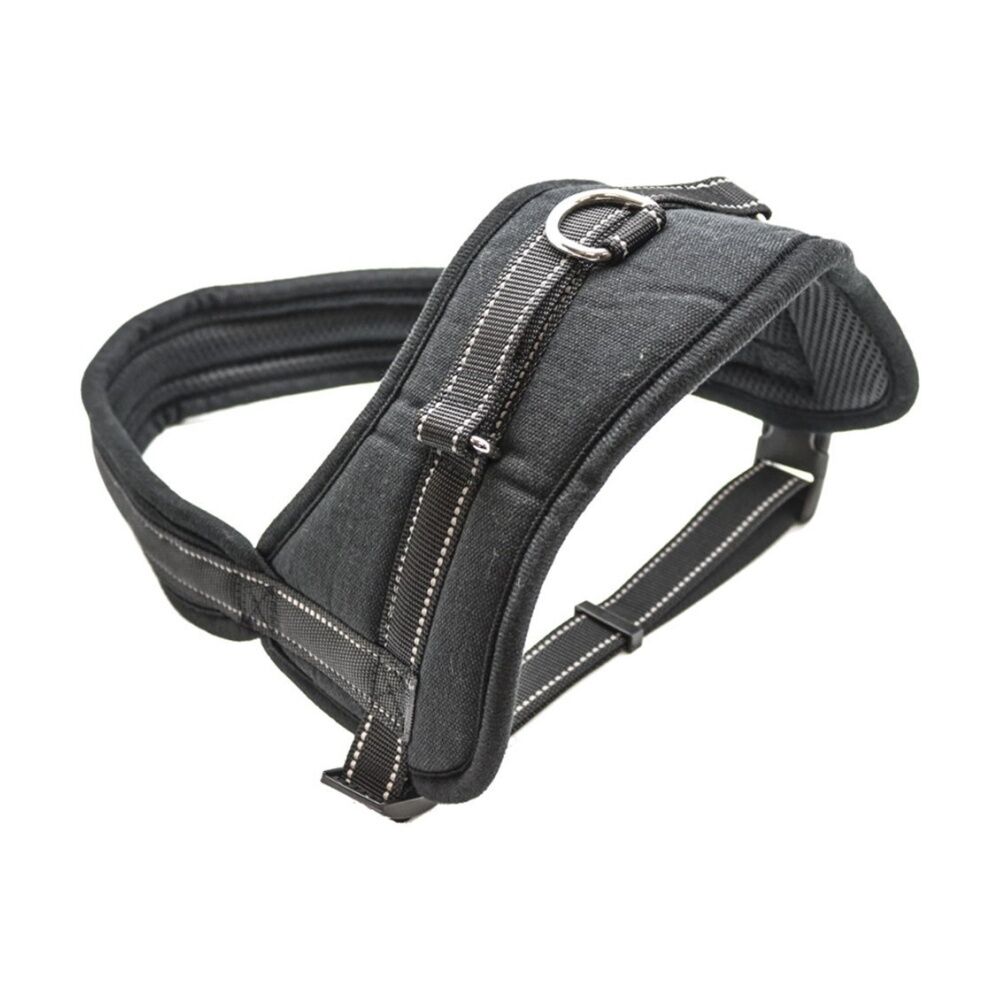 3x Paws And Claws Strong Pet Harness Small Soft Padding Secure Lock 60-70cm