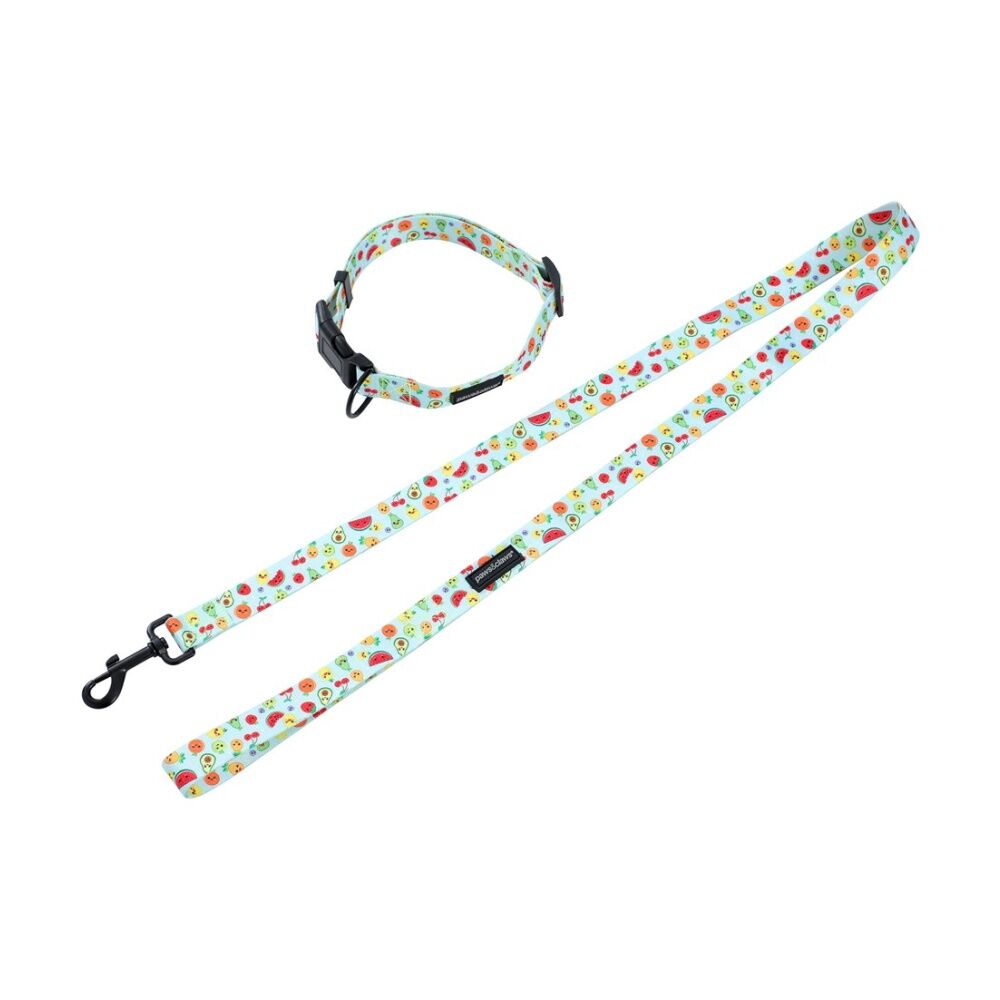 6x Paws And Claws Park Life Dog Collar & Lead Set Large 45-65cm 120x2.5cm Assorted