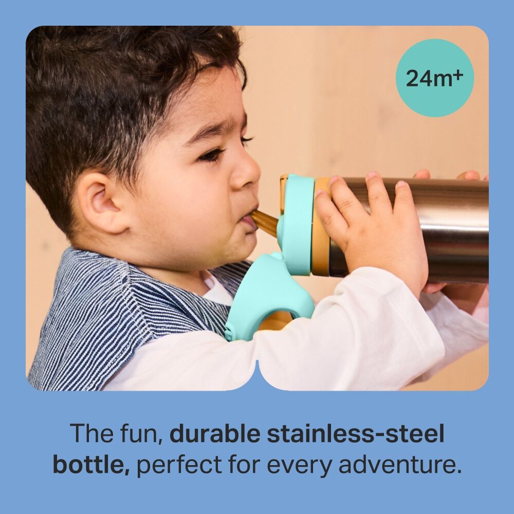 Tommee Tippee On The Go Stainless Steel Insulated Bottle 24m+ 500ml Assorted