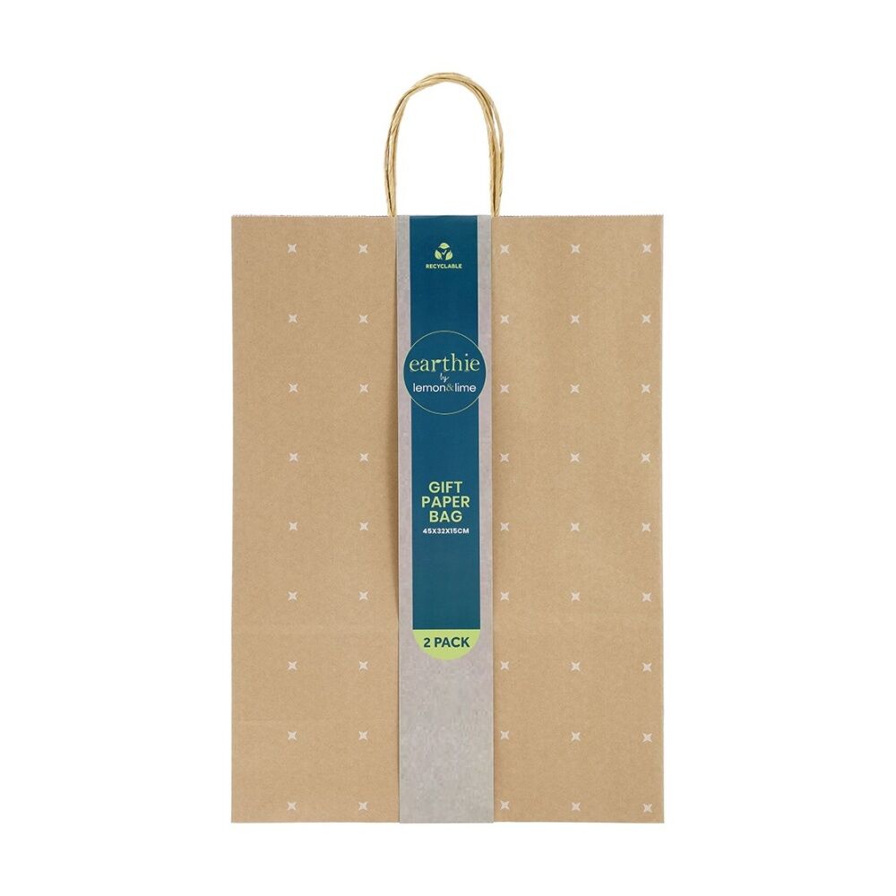 48x 2pc Lemon And Lime Patterned Paper Gift Bag Set 45x32x15cm Assorted