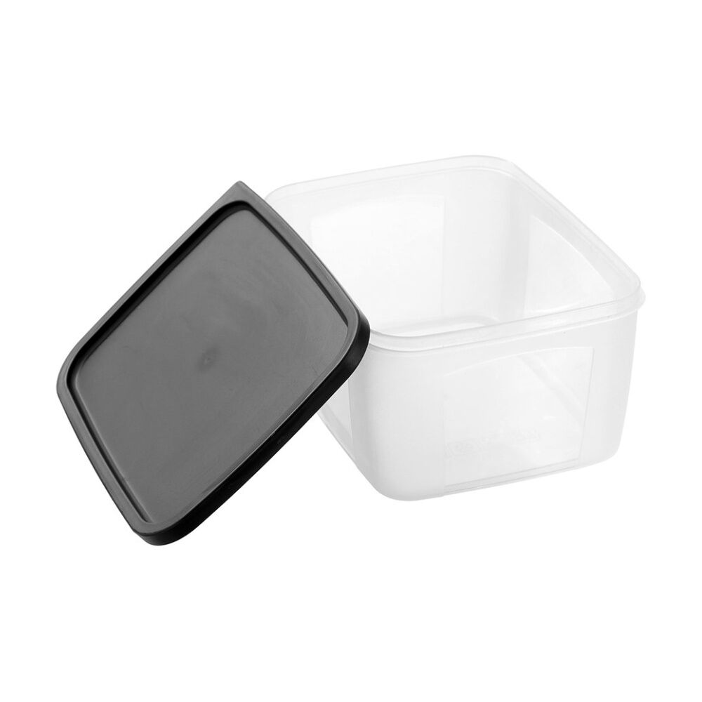 12PK Lemon And Lime Food Keeper Rectangle Reusable Container 3L 21.7x16.7x
