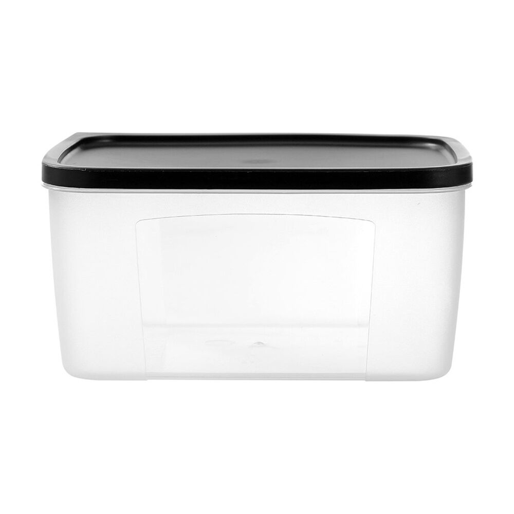 12PK Lemon And Lime Food Keeper Rectangle Reusable Container 3L 21.7x16.7x