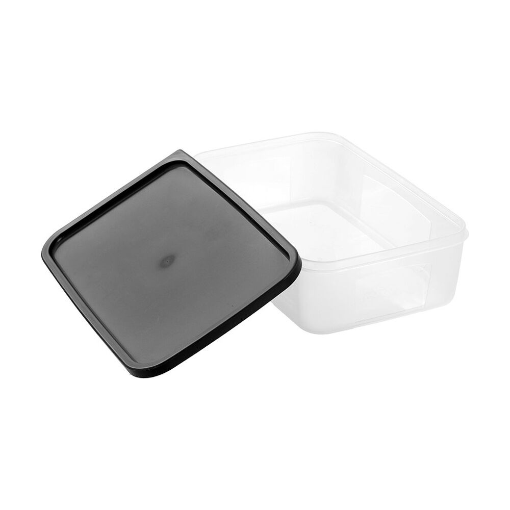 6PK Lemon And Lime Food Keeper Rectangle Reusable Container 2.9L 27.5x17.7cm