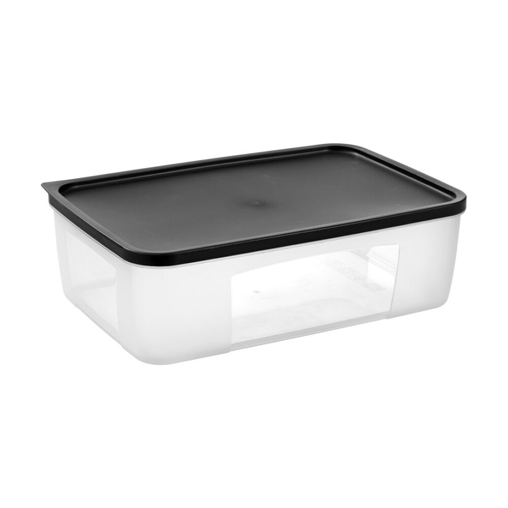 12PK Lemon And Lime Food Keeper Rectangle Reusable Container 4L 29.8x20x9.3