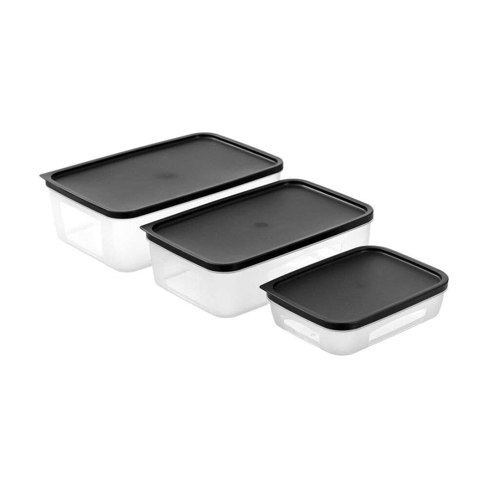 12PK Lemon And Lime Food Keeper Rectangle Reusable Container 4L 29.8x20x9.3