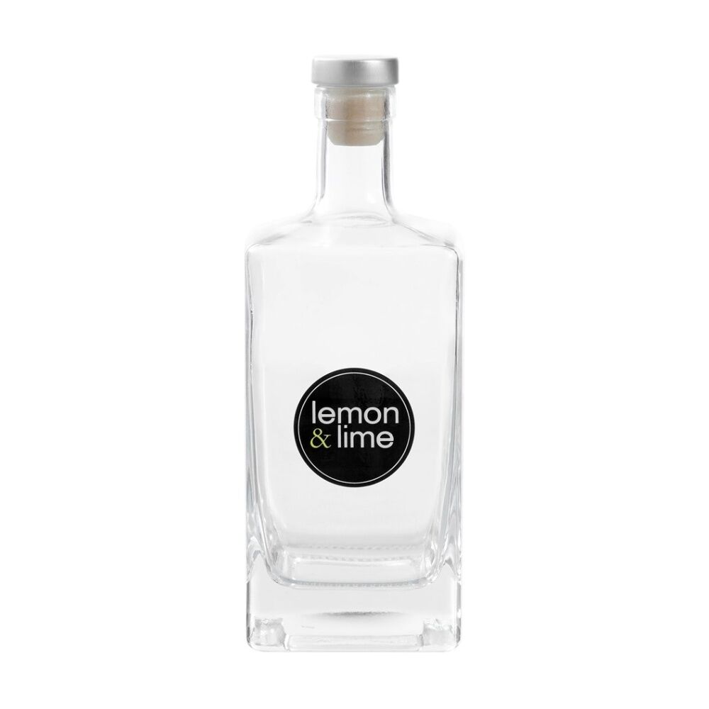 12PK Lemon And Lime Verre Square Glass Bottle Reusable Food Container 520ml