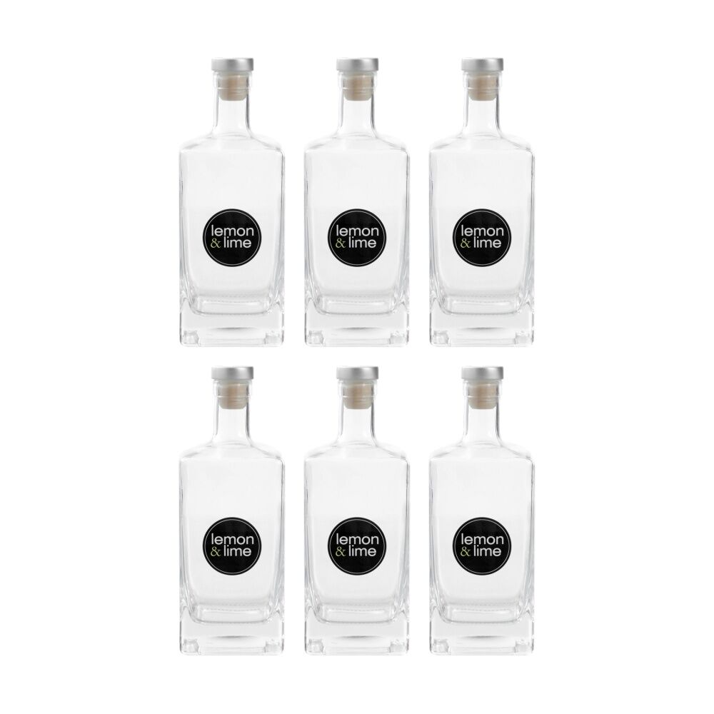 6PK Lemon And Lime Verre Square Glass Bottle Reusable Food Container 520ml