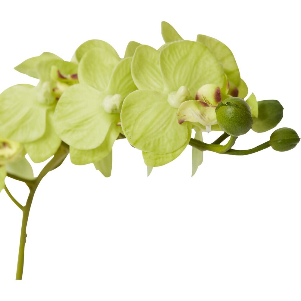 E Style Phalaenopsis Mini Green Orchid Artificial Flower Glass Vessel 17x10x30cm
