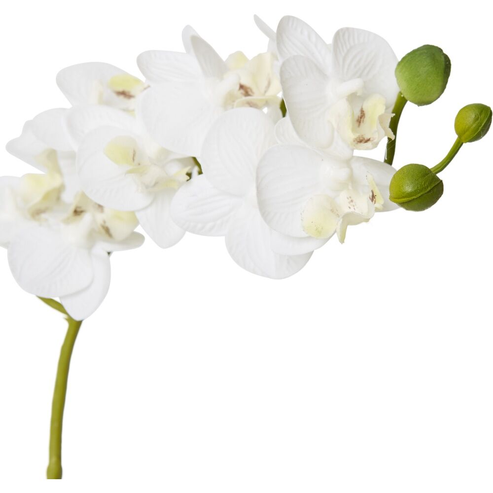 E Style Phalaenopsis Mini White Orchid Artificial Flower Glass Vessel 17x10x30cm