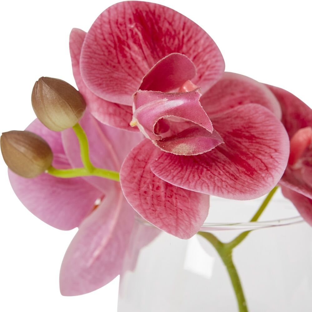 2PK E Style Phalaenopsis Pink Artificial Orchid Clear Vase 16x13x15cm
