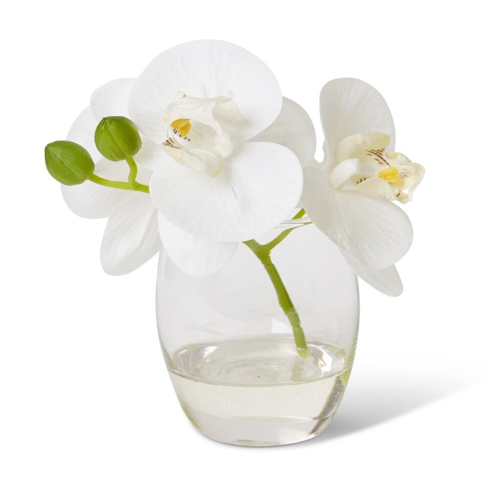 E Style Phalaenopsis White Artificial Orchid Clear Vase 16x13x15cm
