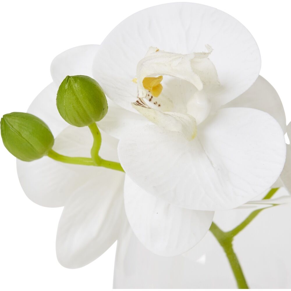 E Style Phalaenopsis White Artificial Orchid Clear Vase 16x13x15cm